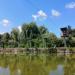 Flying fox (en) in Debrecen city