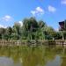 Flying fox (en) in Debrecen city