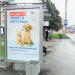 Остановка общественного транспорта «Ломоносовский проспект» в городе Москва