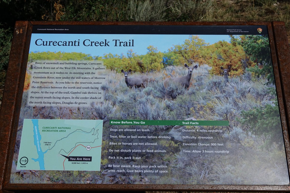 pioneer-point-curecanti-creek-trail-trailhead-picnic-area