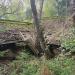 Заброшенное здание в городе Москва