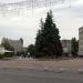 Flowerbed in Zhytomyr city