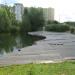 Деревянный помост в городе Новое Девяткино