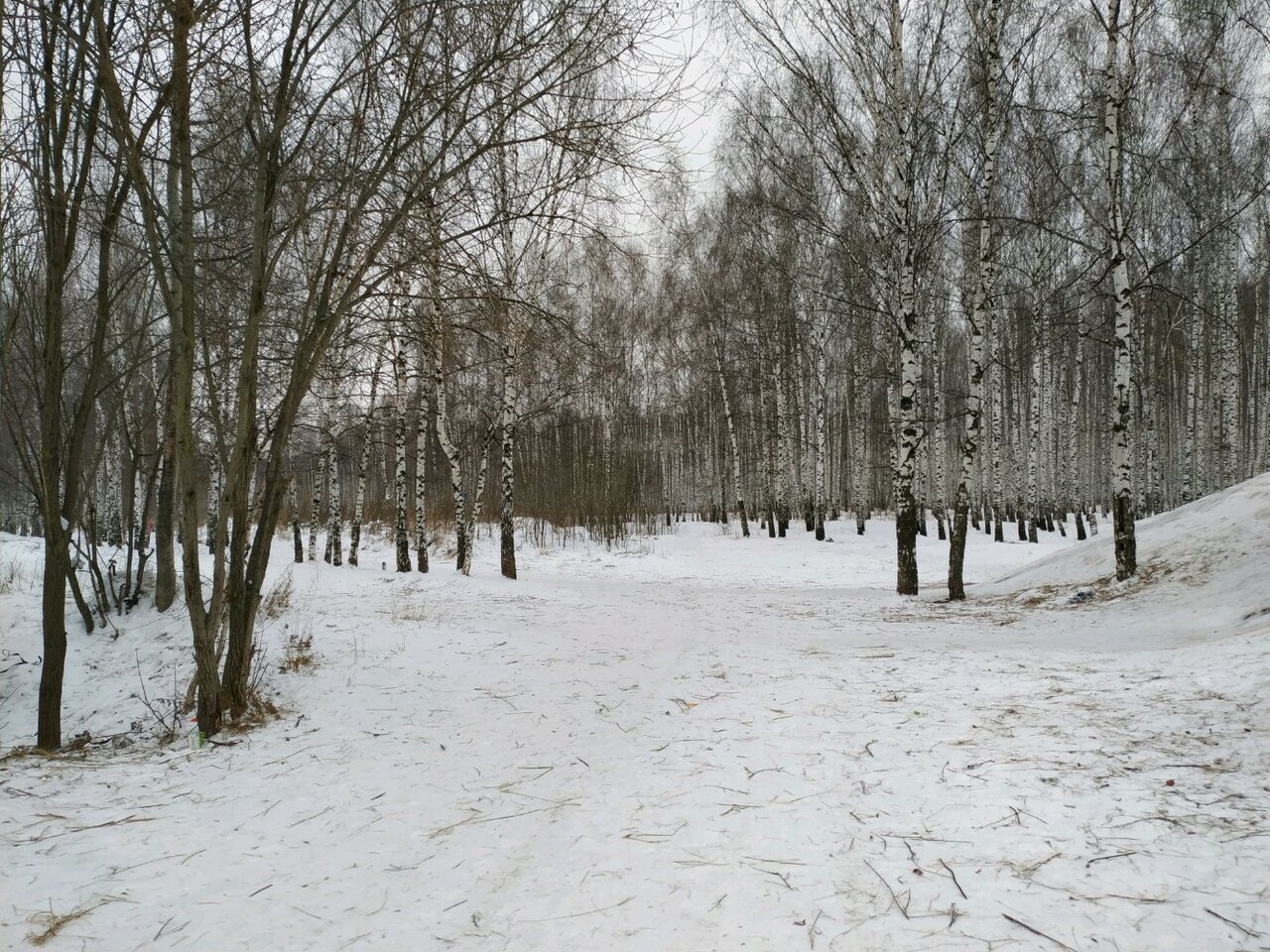 Ноксинский лес Казань
