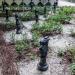 Клумба с шахматными фигурами в городе Москва