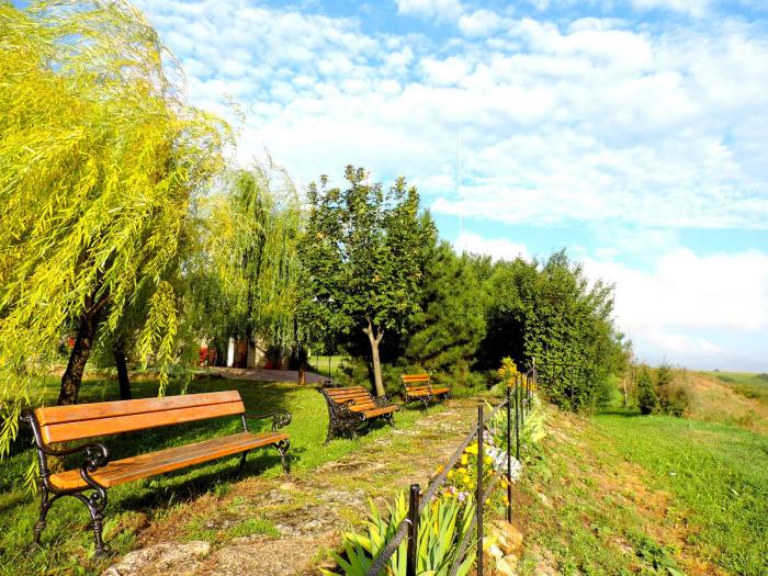 viewing-platform-panoramic-view