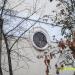 Мозаичные медальоны на фасаде в городе Москва