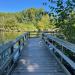 Herricks Park Pond Boardwalk