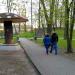 Grzybek Wodzislawski in Wodzisław Śląski city