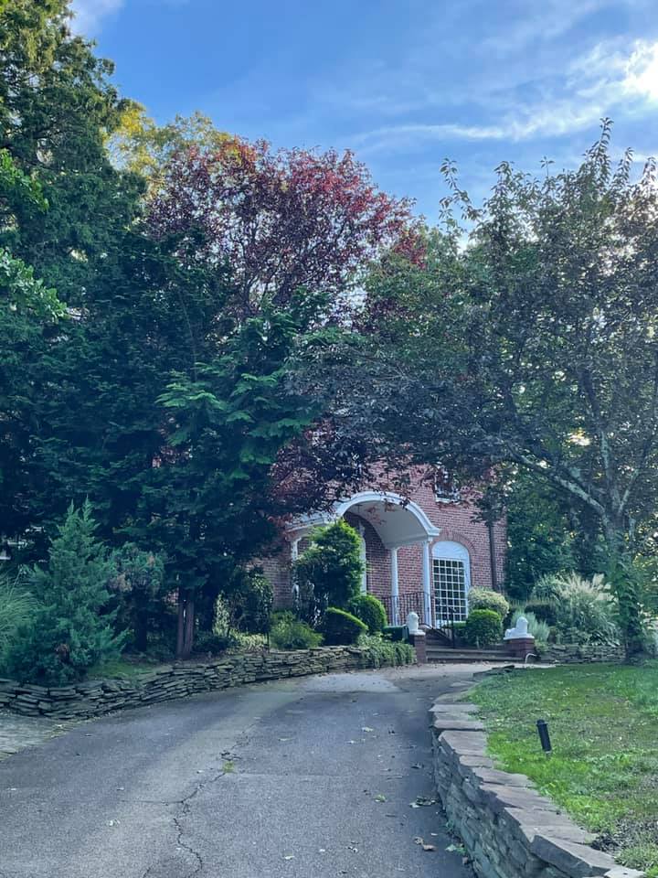 239 I.U. Willets Road