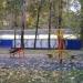 Крытый ледовый каток в городе Москва