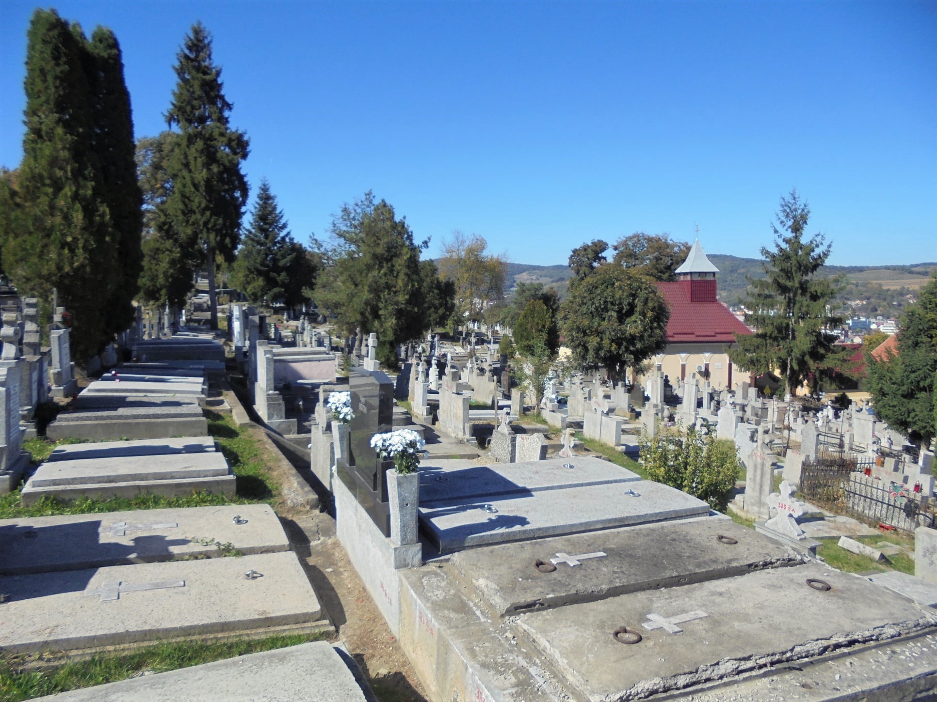 The Central Cemetery
