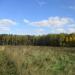 Луг в городе Москва