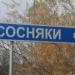 Сосняки