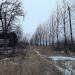Остатки приусадебного участка в городе Москва