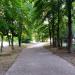 Растительность (ru) in Zhytomyr city