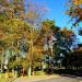 Park (pl) in Hel city