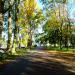 Park (pl) in Hel city