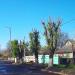 вул. Тараса Шевченка, 81 в місті Овруч