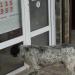 Торговый ряд в городе Сочи