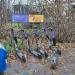 Прокат самокатов в городе Долгопрудный