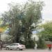 Строительство храма в городе Курган