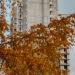 Корпус Б-3 муниципального жилого комплекса «Мой Адрес на Родниковой 5А» в городе Москва