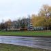 Клумба в городе Москва