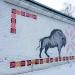 Граффити в городе Гомель