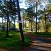 Karawaning (pl) in Hel city