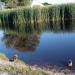 Pond in Zhytomyr city