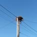 Pillar with a stork's nest in Zhytomyr city