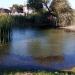 Pishchanyi pond in Zhytomyr city