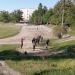Pit for long jumps in Zhytomyr city