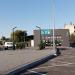 Mister Market in Zhytomyr city
