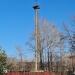 Неиспользуемый столб освещения в городе Хабаровск
