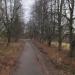 Липовая аллея в городе Истра