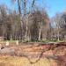 Озеленённая территория в городе Воскресенск