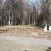 Озеленённая территория в городе Воскресенск