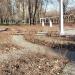 Озеленённая территория в городе Воскресенск