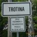 Trotina