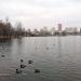 Лодочная станция в городе Реутов