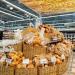 Супермаркет Eurospar в городе Казань