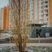 Мусорная площадка в городе Москва