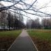 место выгула собак в городе Москва