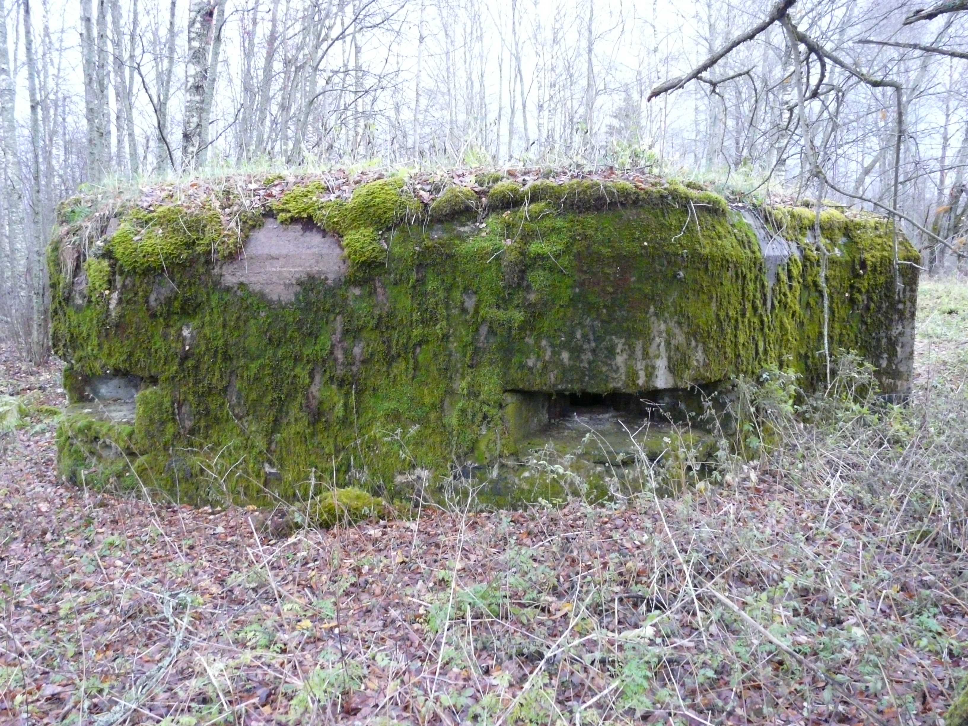 World / Russia / Leningrad / Agalatovo , 13 км от центра (Агалатово)