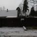 Сиверское шоссе, 98 в городе Вырица