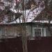 Сиверское шоссе, 96 в городе Вырица