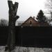 Сиверское шоссе, 90 в городе Вырица