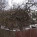 Сиверское шоссе, 78 в городе Вырица
